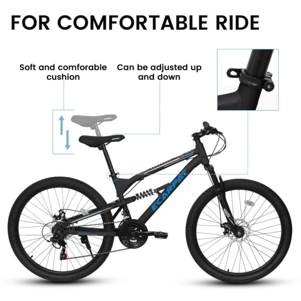 5f91da5b-b350-5003-817f-a43cc233bd49.jpg