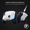 e21b2b39-9bc8-54f4-8dae-7708fdc8b3e4.jpg